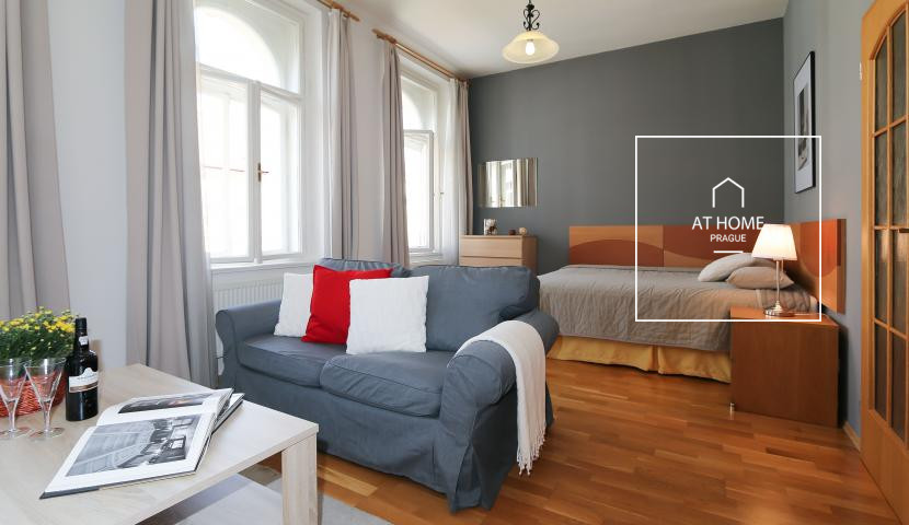 Sunny apartment for rent Prague Prague 2, Sázavská, Vinohrady