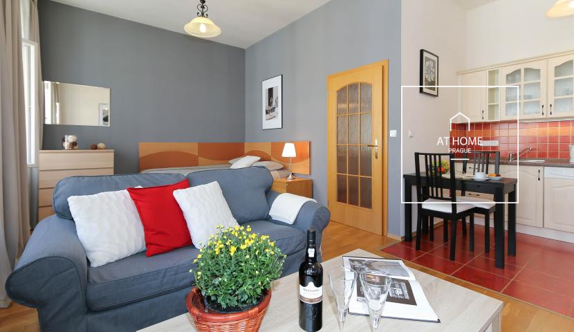 Sunny apartment for rent Prague Prague 2, Sázavská, Vinohrady