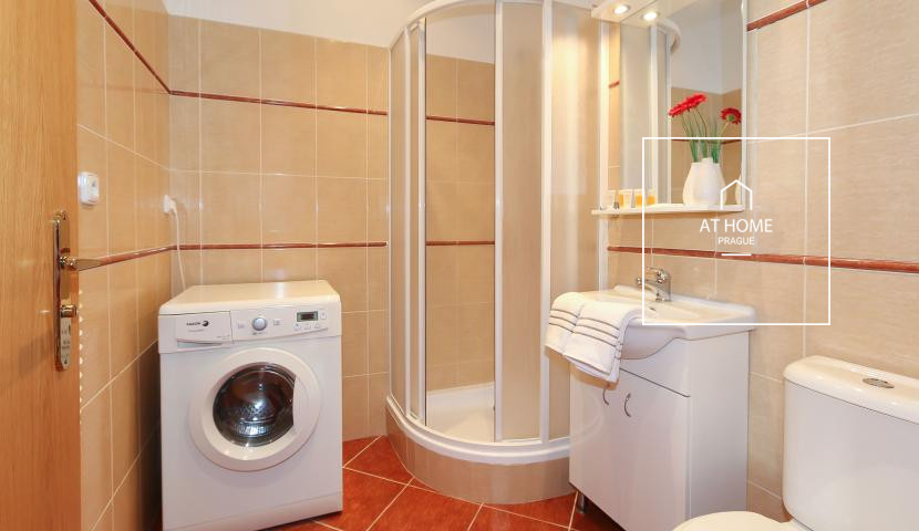 Sunny apartment for rent Prague Prague 2, Sázavská, Vinohrady