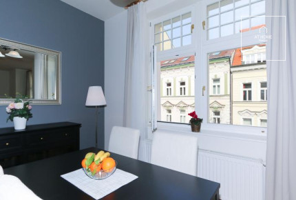 Nice 1bedroom apartment, Na Kozačce, Vinohrady