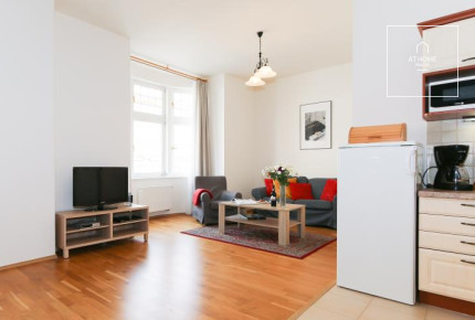 Nice 1bedroom apartment, Na Kozačce, Vinohrady