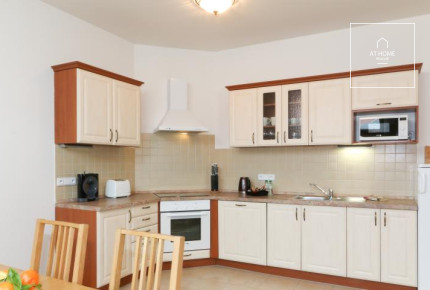 Fully furnished one bedroom loft, Na Kozačce, Vinohrady.