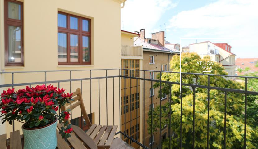 Plně zařízený příjemný byt 3+kk, Máchova, Vinohrady