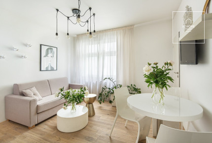 One bedroom apartment with terrace, Holečkova, Košíře