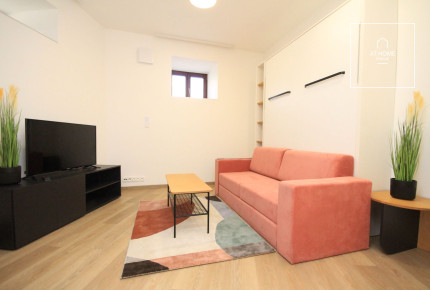 Fully furnished, new studio, Na Maninách, Holešovice