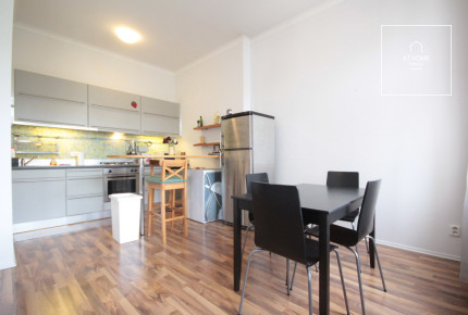 Spacious, fully furnished 1-bedroom apartment, Anny Letenské, Vinohrady