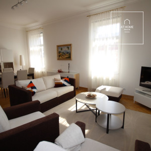 Very nice, fully furnished apartment, Na Kozačce, Vinohrady