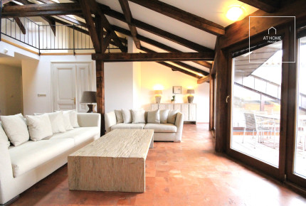 Charming atypical 3-bedroom apartment, Ibsenova, Vinohrady