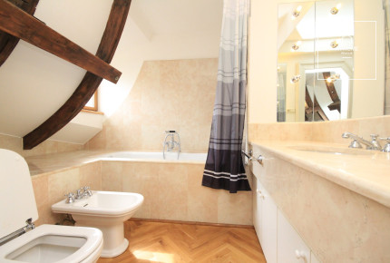 Charming atypical 3-bedroom apartment, Ibsenova, Vinohrady