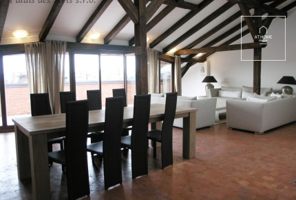 Exceptional two level partly furnished 3-bedroom flat, Ibsenova, Vinohrady