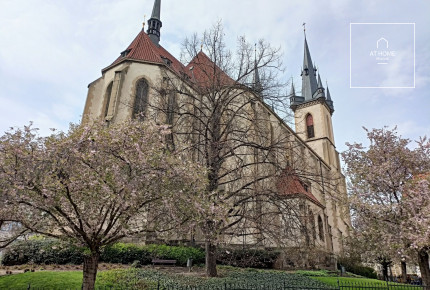 Janovského, Holešovice
