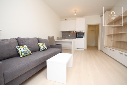 Fully furnished studio, Vršovice, Novgorodská