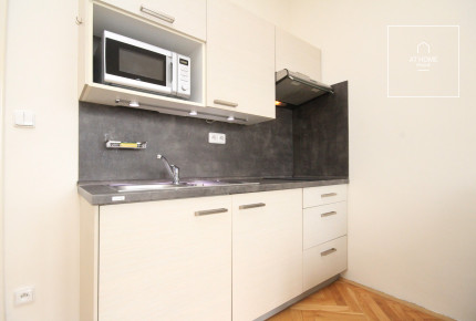 Fully furnished studio with terrace, Chopinova, Vinohrady