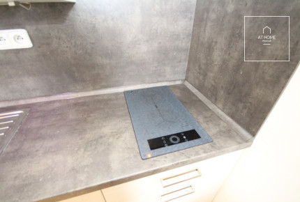 Fully furnished studio with terrace, Chopinova, Vinohrady