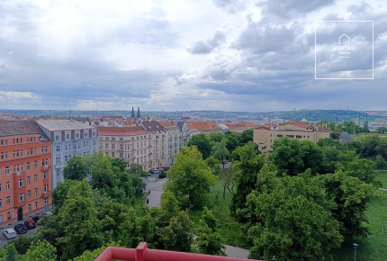 Fully furnished studio with terrace, Chopinova, Vinohrady