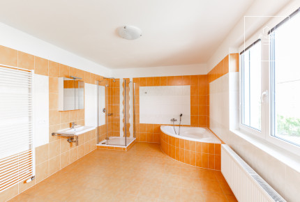 Charming villa for rent, Průhonice