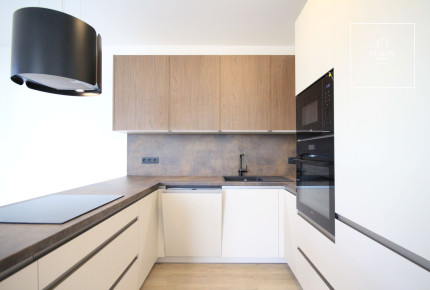 Newly built 2-bedroom apartment with terrace, Praha 3 - Žižkov