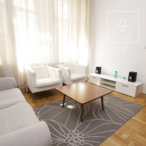 Cozy, furnished one-bedroom apartment, Maiselova, Josefov