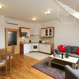 Fully furnished one bedroom loft, Na Kozačce, Vinohrady.