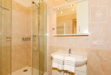 Fully furnished one bedroom loft, Na Kozačce, Vinohrady.