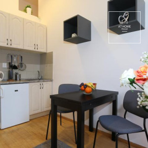 Nice duplex apartment, one bedroom, Vinohrady