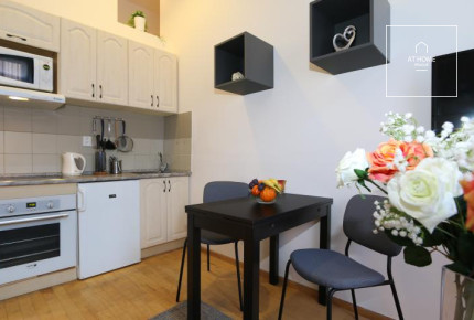 Nice duplex apartment, one bedroom, Vinohrady