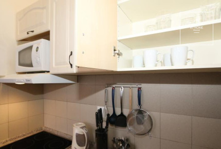 Nice duplex apartment, one bedroom, Vinohrady