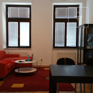 Furnished/unfurnished, renovated apartment, one bedroom, Štěpánská, Nové Město