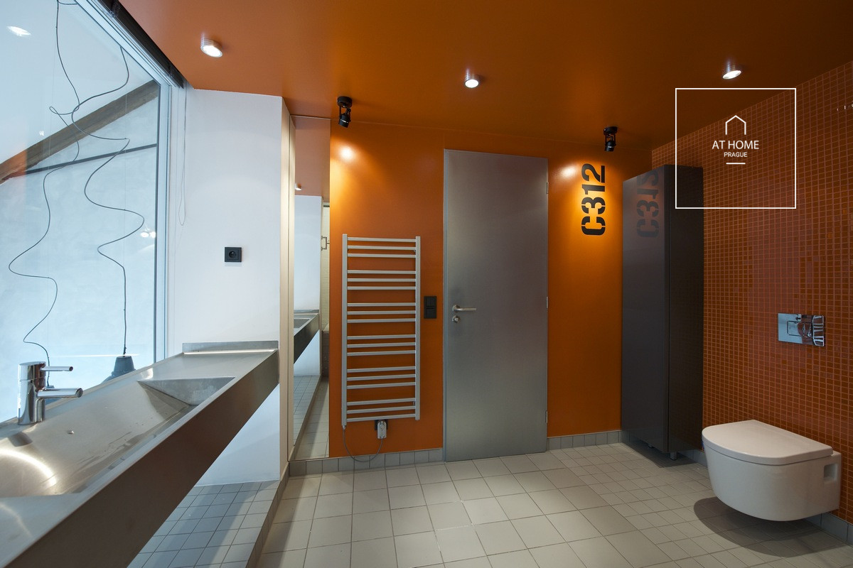 Stylový mezonetový apartman, U Průhonu, Holešovice