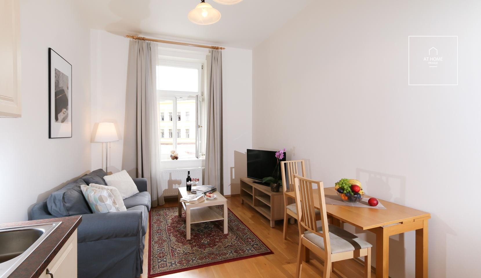 Nice apartment, fully furnished, Moravská, Vinohrady