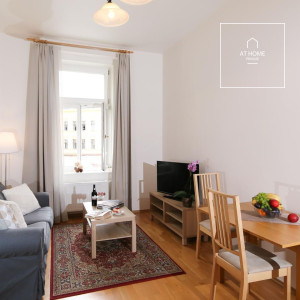 Nice apartment, fully furnished, Moravská, Vinohrady