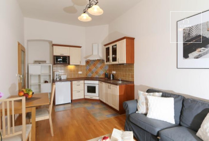 Nice apartment, fully furnished, Moravská, Vinohrady