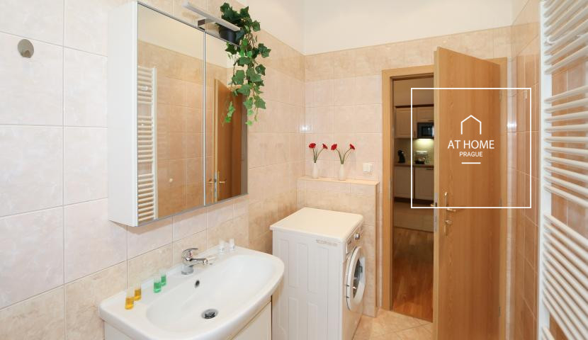 Nice 1bedroom apartment, Na Kozačce, Vinohrady