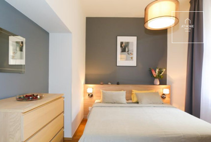 Nice 1bedroom apartment, Na Kozačce, Vinohrady