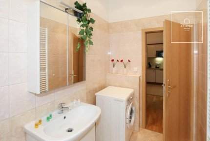 Nice 1bedroom apartment, Na Kozačce, Vinohrady