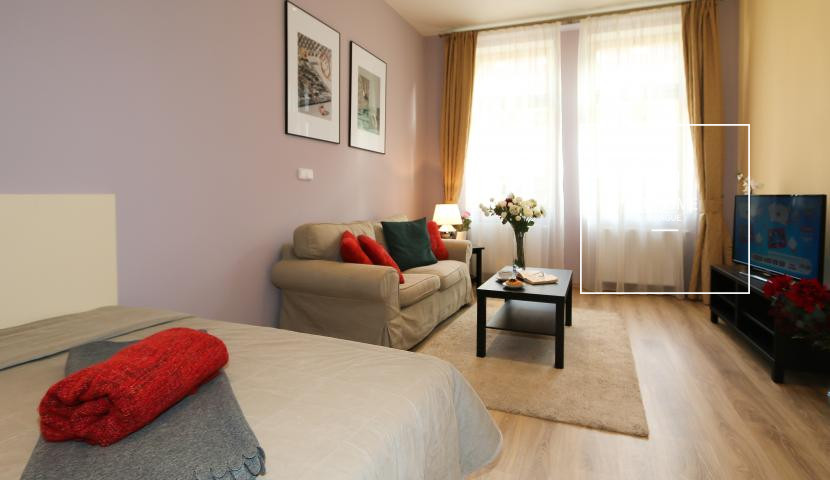 Fully furnished studio, Máchova