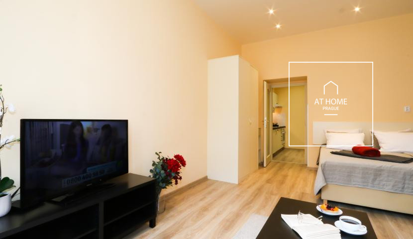 Fully furnished studio, Máchova