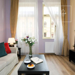 Příjemný byt 1+1 byt po rekonstrukci , Máchova