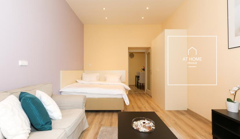 Fully furnished studio, Máchova