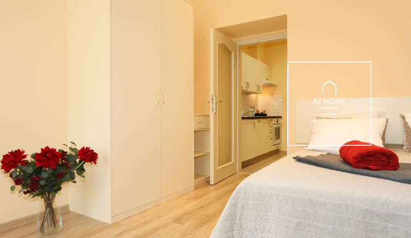 Fully furnished studio, Máchova