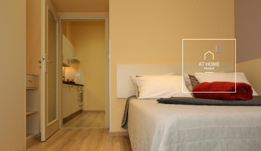Fully furnished studio, Máchova