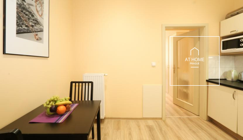 Fully furnished studio, Máchova