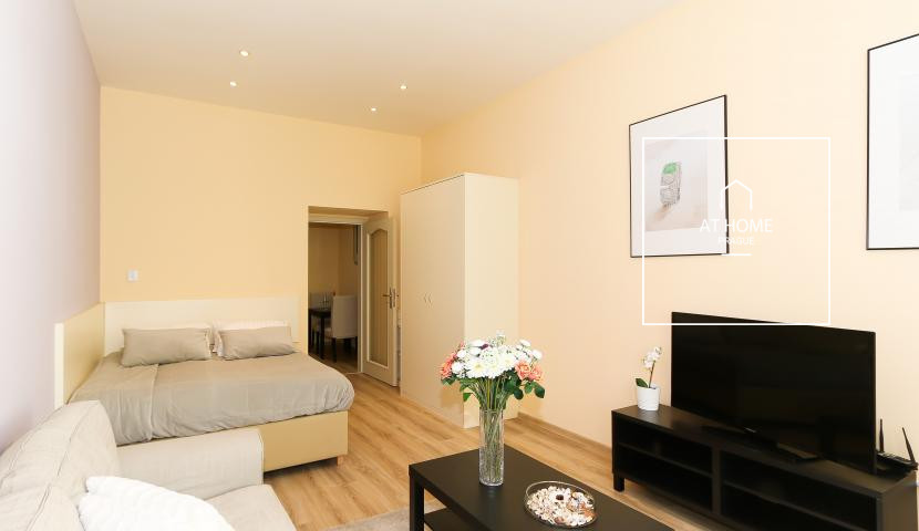 Másolat - Příjemný byt 1+1 byt po rekonstrukci , Máchova