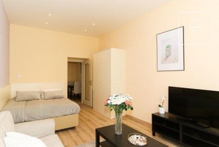 Fully furnished studio, Máchova