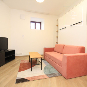 Fully furnished, new studio, Na Maninách, Holešovice