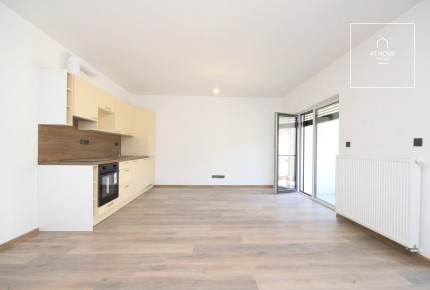 Nice, spacious studio apartment with balcony, new building, Pilsen