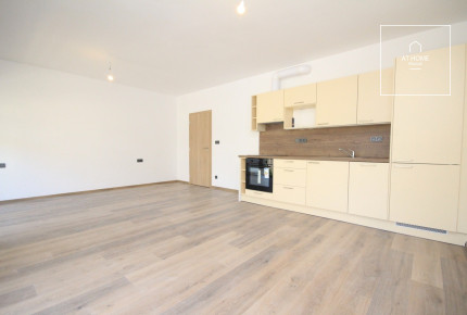 Nice, spacious studio apartment with balcony, new building, Pilsen