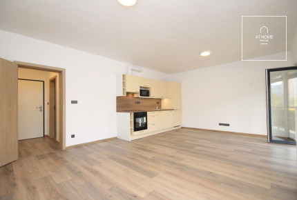 Nice, spacious studio apartment with balcony, new building, Pilsen