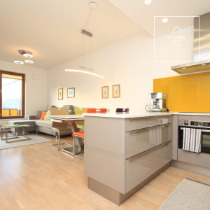 2-bedroom apartment with terrace, Green Motol