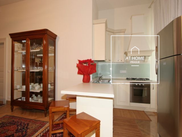 Nadstandardní zařízený byt, Italská, Vinohrady